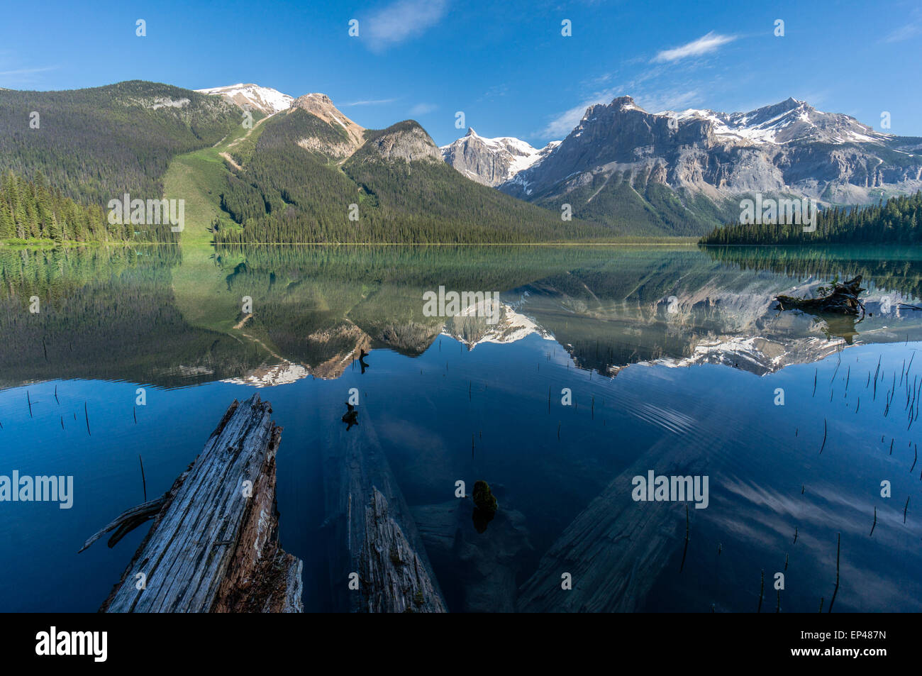 Emerald Lake Reflexionen, Yoho-Nationalpark, Kanadische Rocky Mountains, Kanada Stockfoto