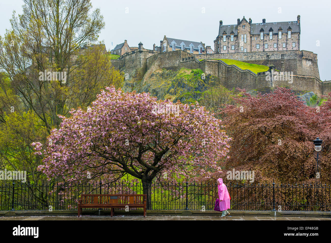 Frau zu Fuß unter dem Regen in Edinburgh, Schottland Stockfoto