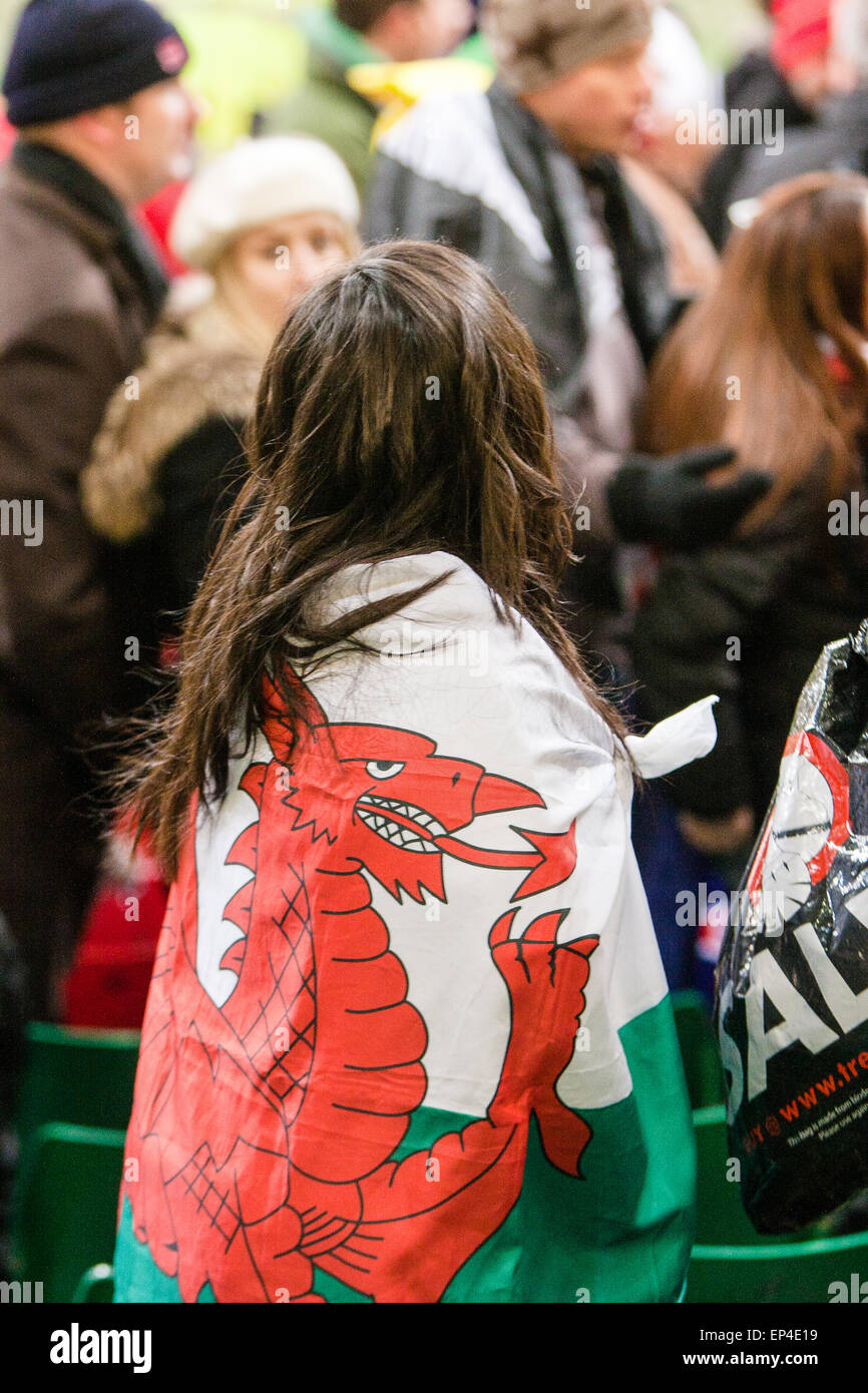 Wales weiblicher Fan, mit Red Dragon walisische Flagge am Ende des Rugbyspiel in Wales V Neuseeland. Die All Blacks/New Zealand schlagen Wales 37-25 im Herbst International Test am 27. November 2010 bei The Millennium Stadium, Cardiff, Wales, U.K Stockfoto