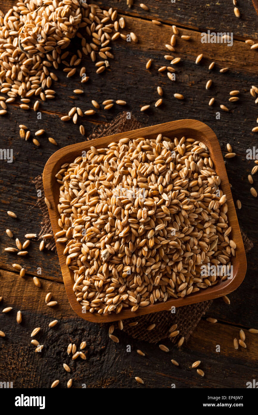 Rohe Bio Dinkel Getreide in einer Schüssel Stockfoto