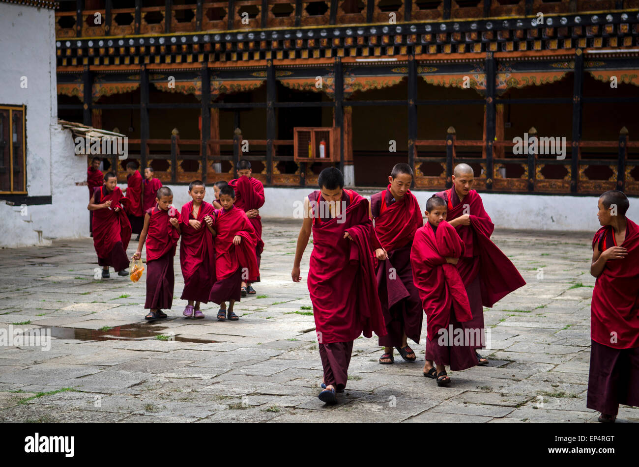 Junge Mönche in Paro Dzong, Paro, Bhutan Stockfoto