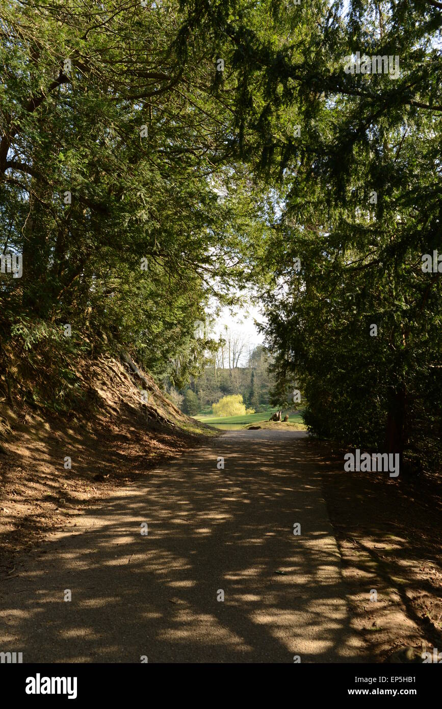 Ein Spaziergang durch die sonnenbeschienenen Bäume bei Fountains Abbey and Studley Royal Stockfoto