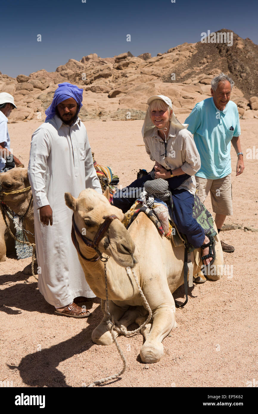 Ägypten, Sinai, Sharm el Sheikh, Nabq Nationalpark, Senor Frau Tourist auf Beduinen Kamel für Wüste Fahrt Stockfoto