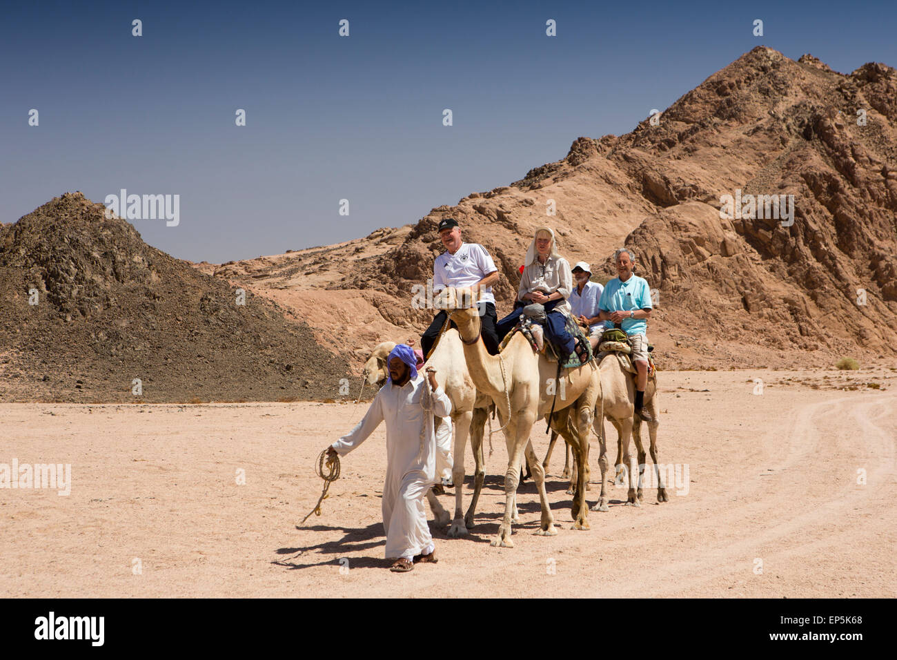 Ägypten, Sinai, Sharm el Sheikh, Nabq Nationalpark, Beduinen geben Touristen Wüste Kamel reiten Stockfoto