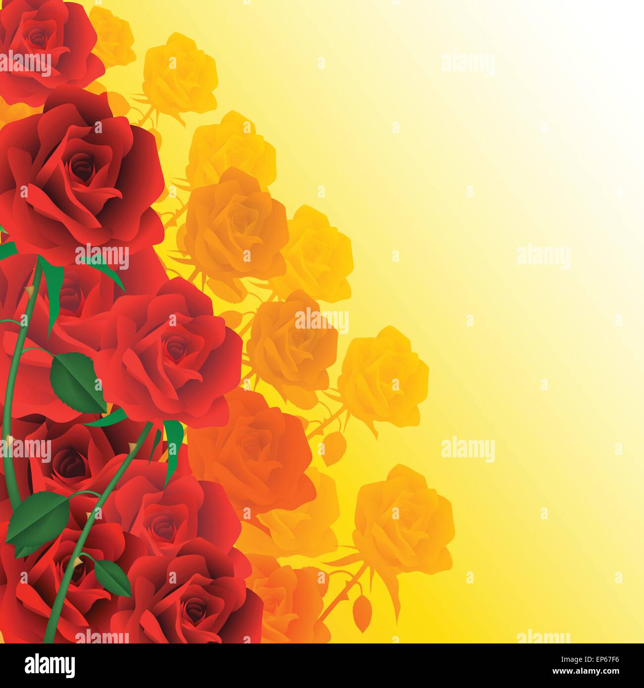 Rote Rosen isoliert auf Hintergründe. Vektor-illustration Stock Vektor