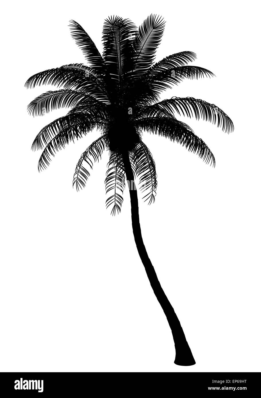 Silhouette der Kokospalme, die isoliert auf weiss Stockfoto