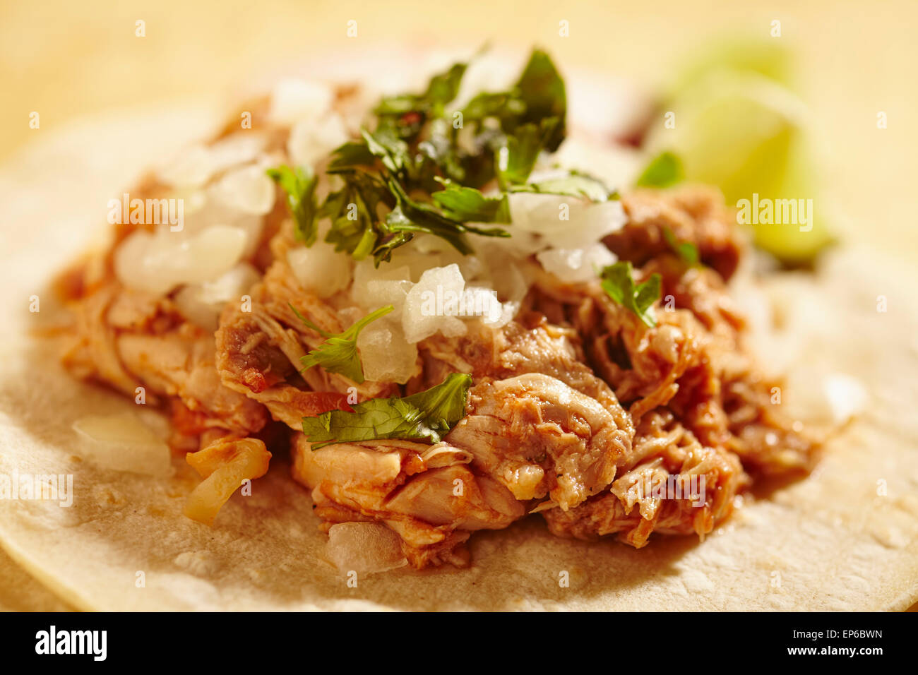 Hühnerfleisch Taco auf einem Mais-tortilla Stockfoto