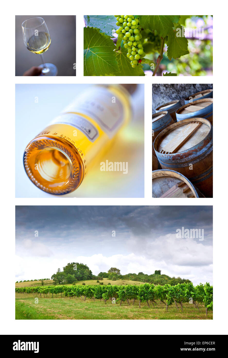 Weinbau und französische Weingüter auf einer collage Stockfoto