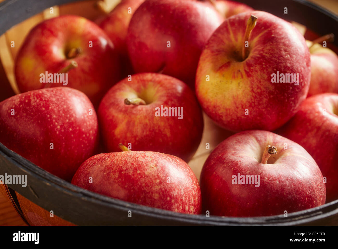 Bio-Gala Äpfel Stockfoto