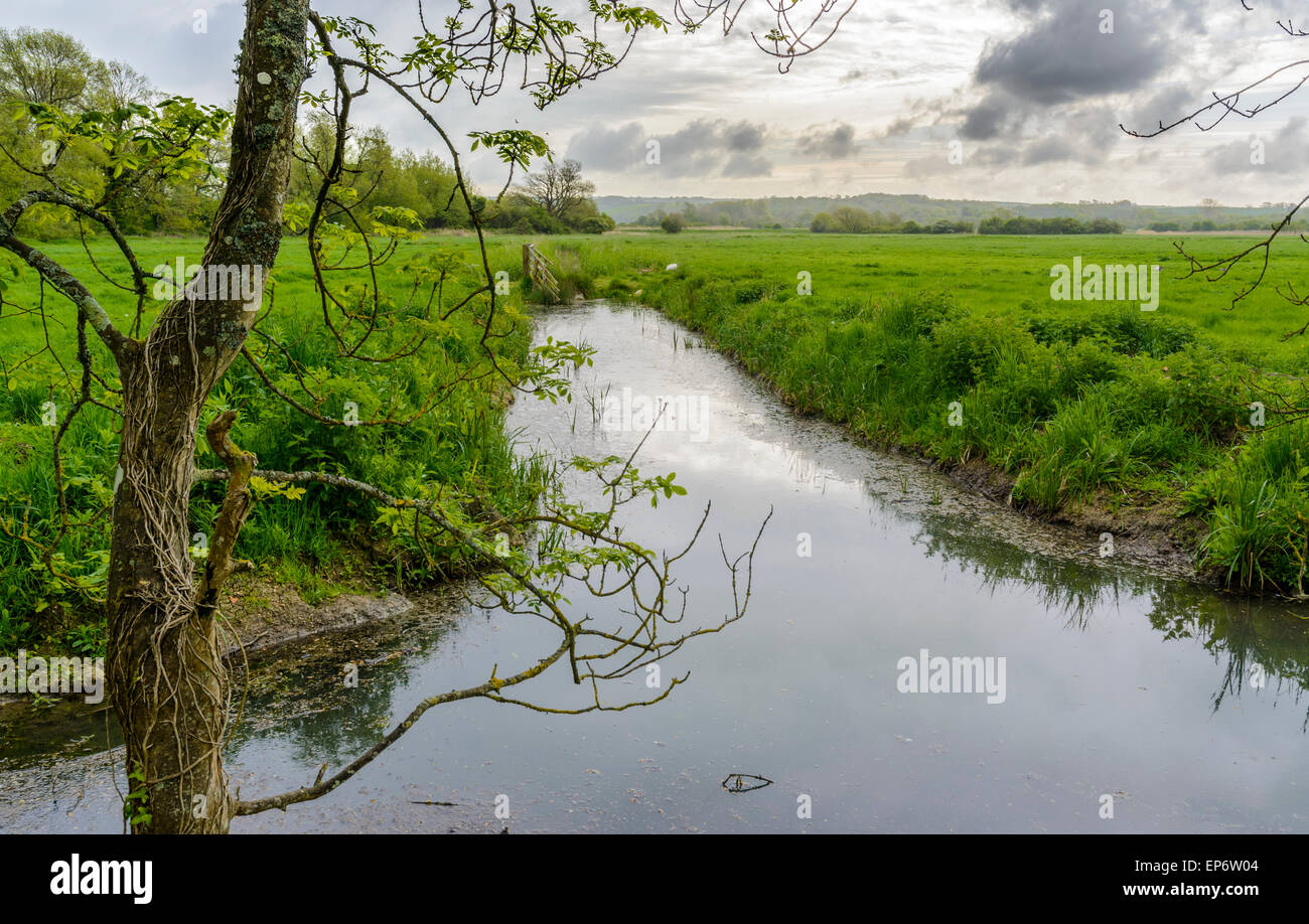 Blick auf die Landschaft von einem Strom von Wasser durch ein Feld im Frühling in West Sussex, England, Großbritannien fließt. Stockfoto