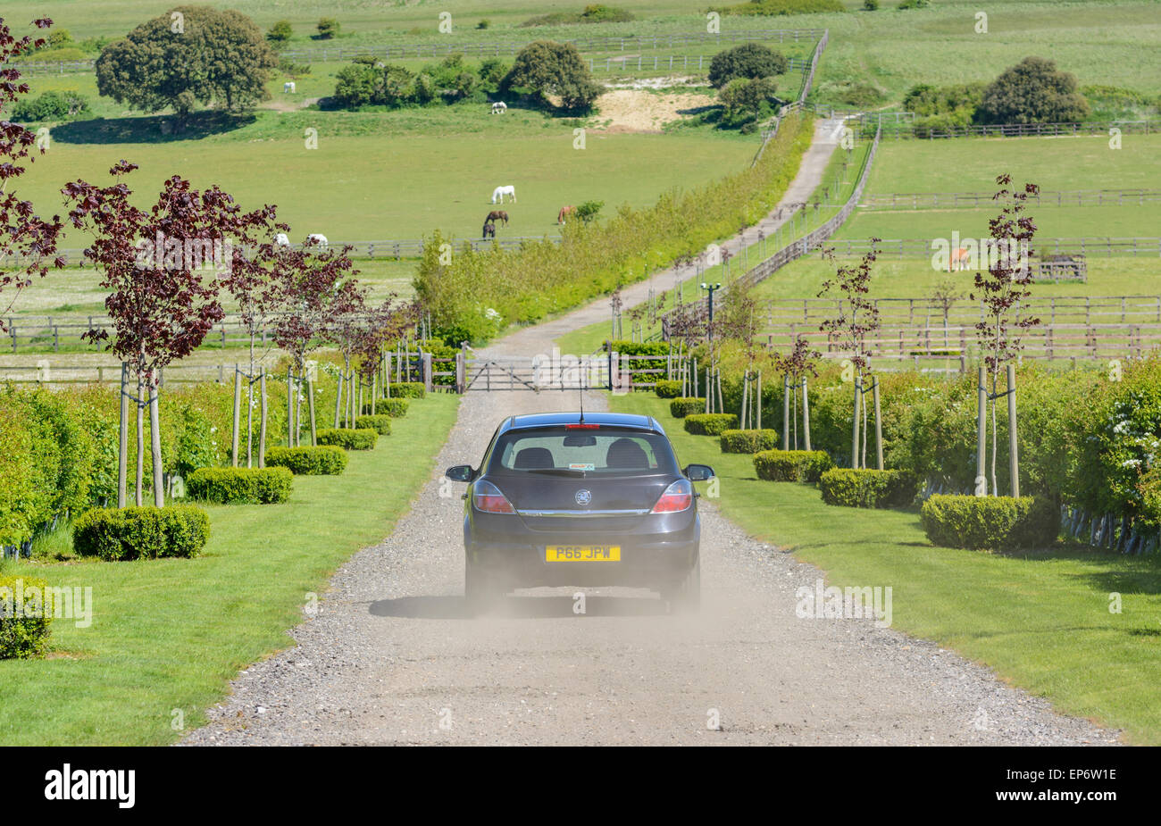 Auto fahren auf einer privaten Straße zwischen Feldern in der britischen Landschaft. Stockfoto