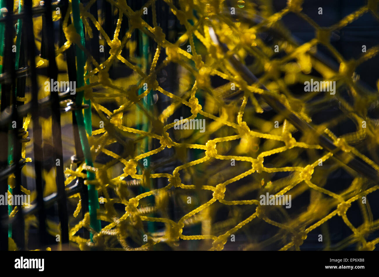 Nahaufnahme des Netting in eine Hummerfalle, Islesford, Maine. Stockfoto