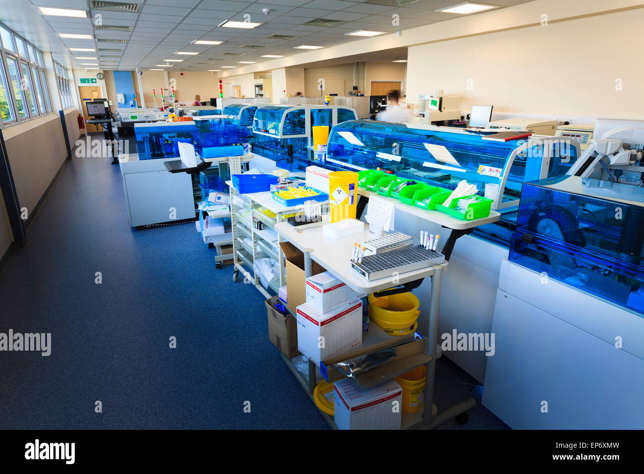 Blut Wissenschaften automatisierte Analyse Maschine im Krankenhaus Stockfoto