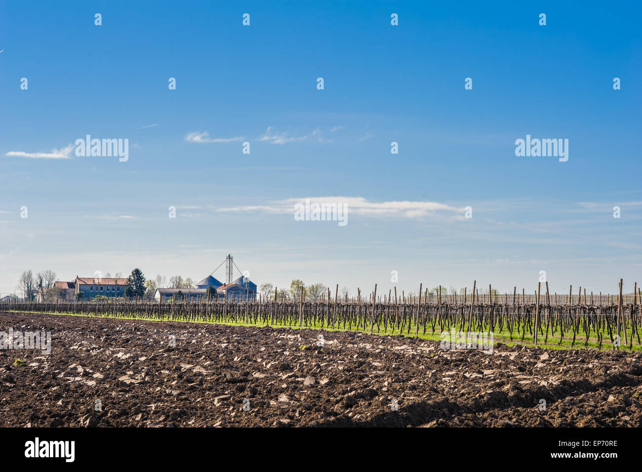 Agrarlandschaft mit Weingut und Bauernhof Haus im Hintergrund Stockfoto