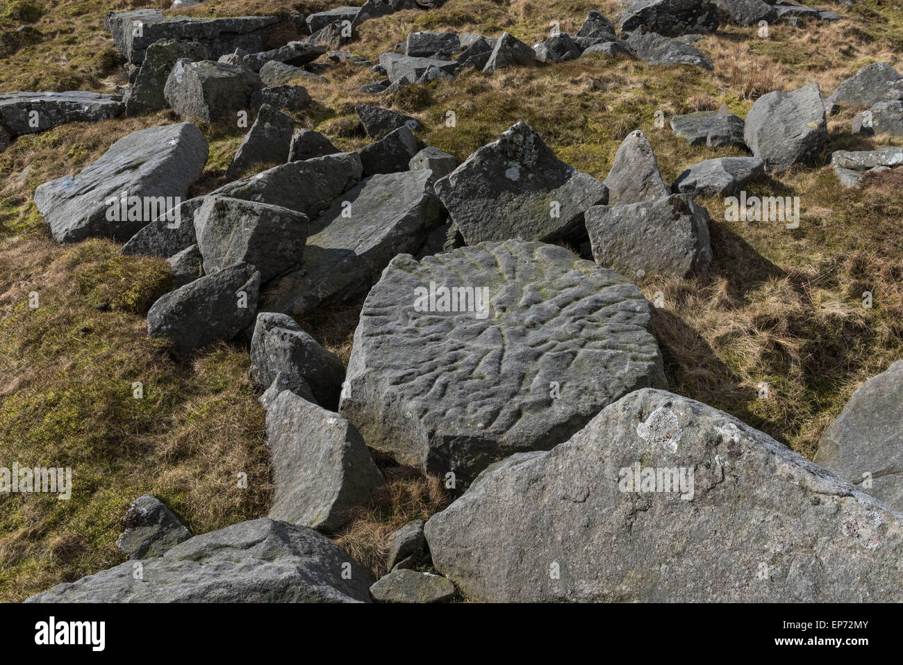 Ungeschnitten Mühlstein Wald von Bowland Stockfoto