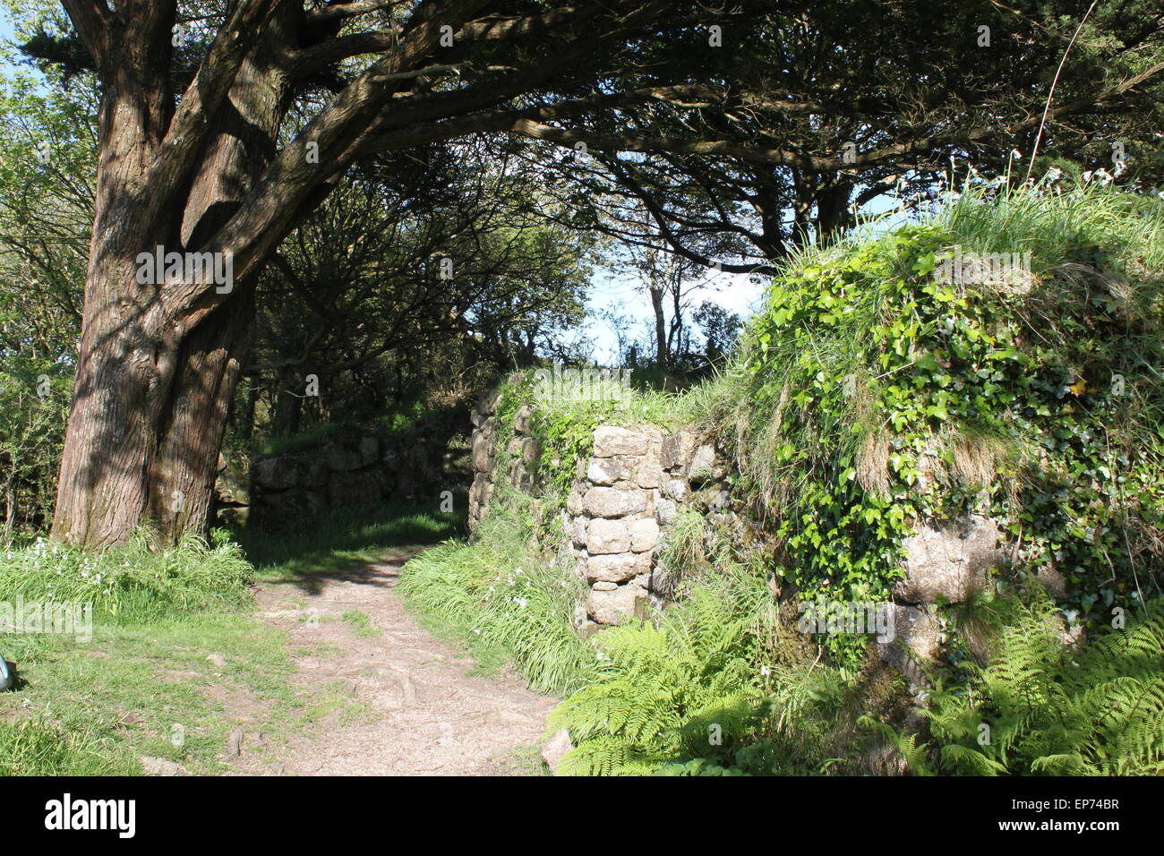 Madron-Kapelle in der Nähe von Wishing Well Madron in penwith West cornwall Stockfoto