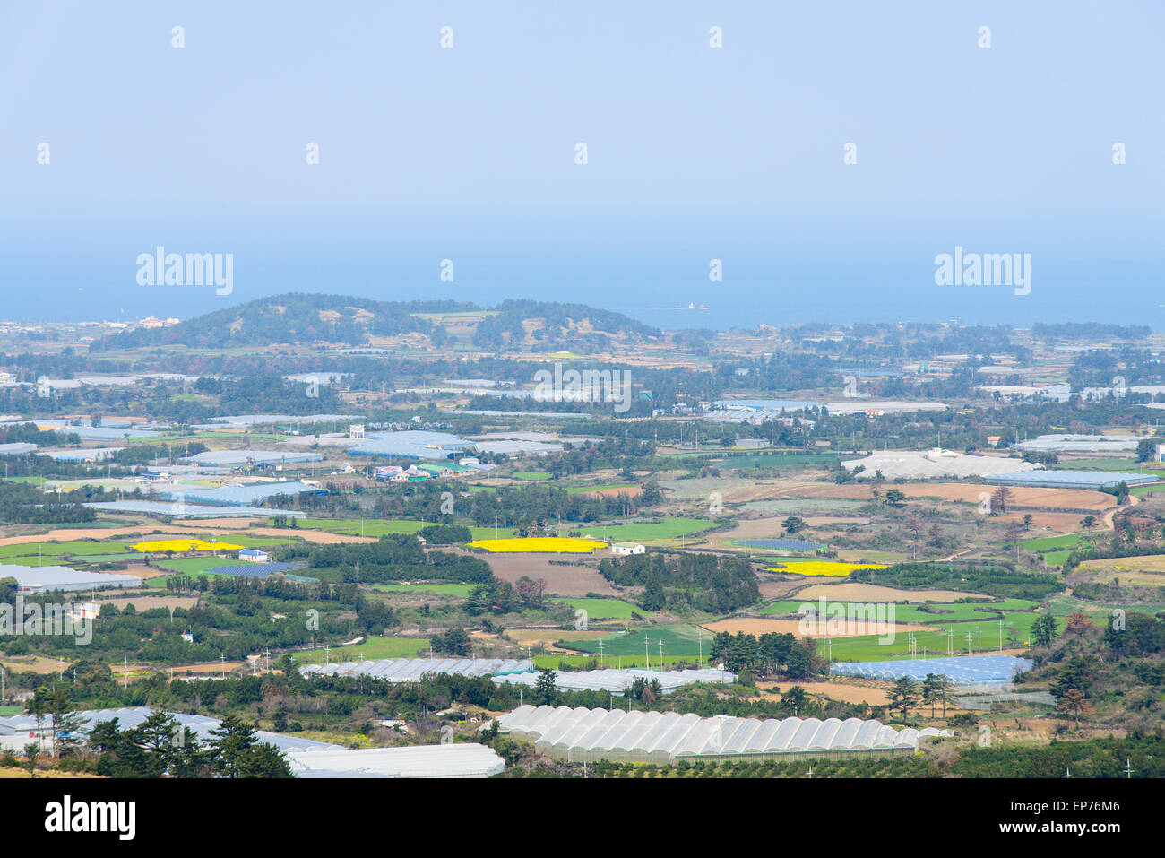 Aussicht von der Spitze des Jeoji Oreum in Insel Jeju, Korea-Landschaft. Stockfoto