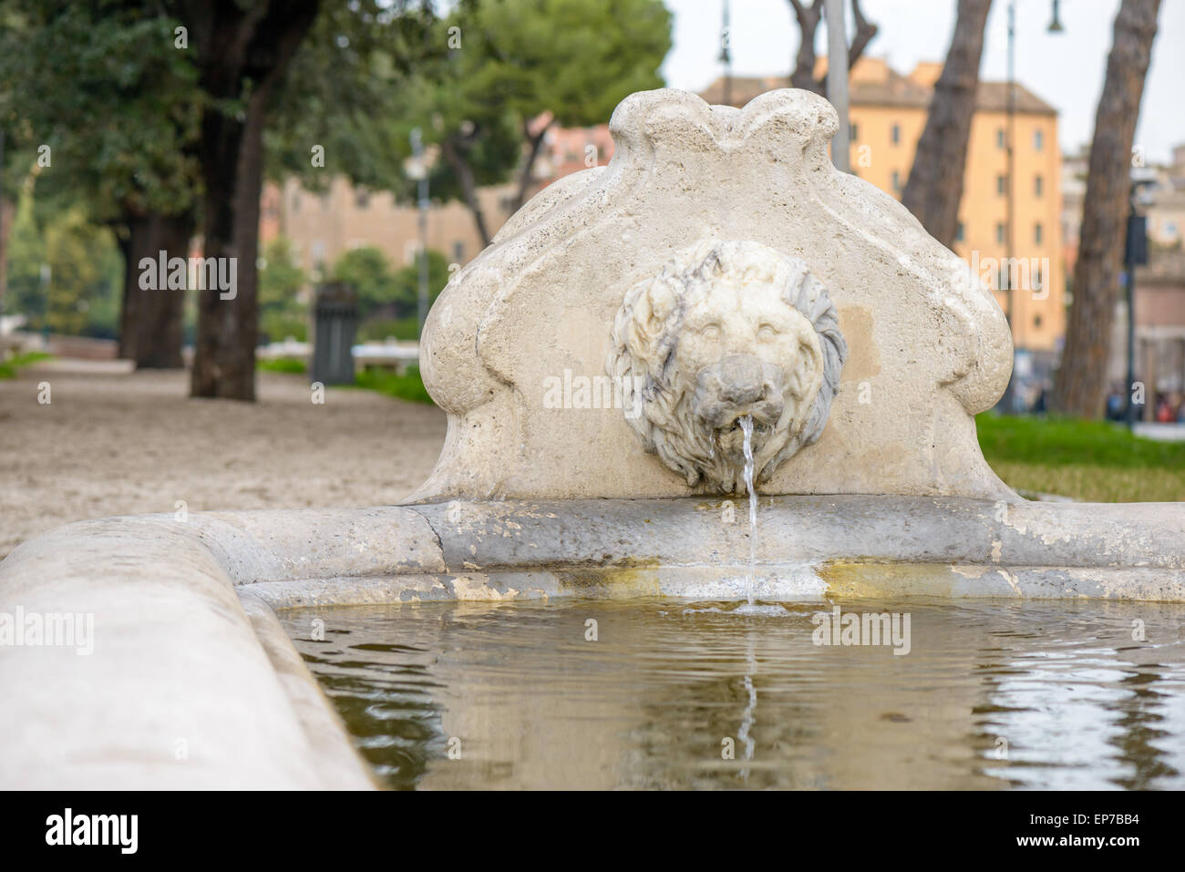 Der Löwe-Brunnen in der Nähe von Santa Maria in Cosmedin in Rom (Italien) Stockfoto