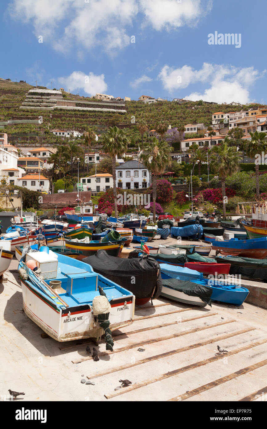 Angelboote/Fischerboote im Hafen, Camara de Lobos Dorf, Madeira, Europa Stockfoto