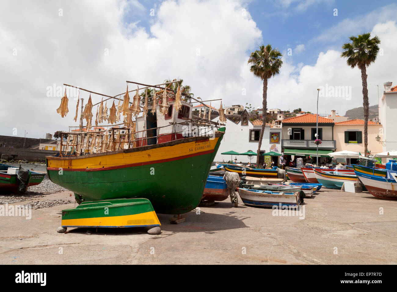 Angeln auf madeira Fotos und Bildmaterial in hoher Auflösung Alamy