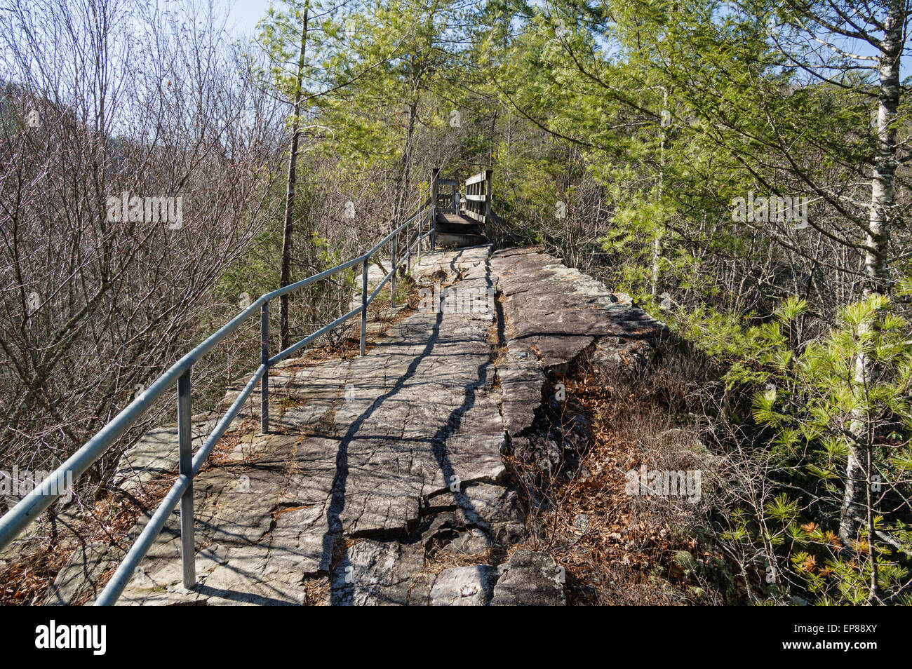 Trail entlang der steilen schmalen Wirbelsäule Backbone Ridge in Tennessee Stockfoto