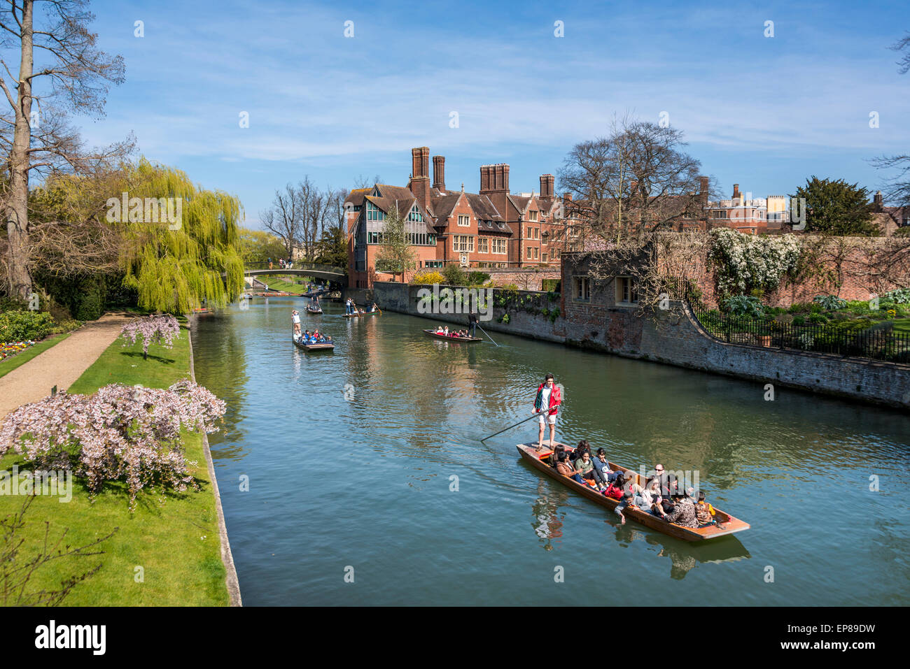 Bootfahren auf dem Fluss Cam in Cambridge England nimmt in dem berühmten Rücken, die Rückseite des Trinity College sehen Sie hier. Stockfoto