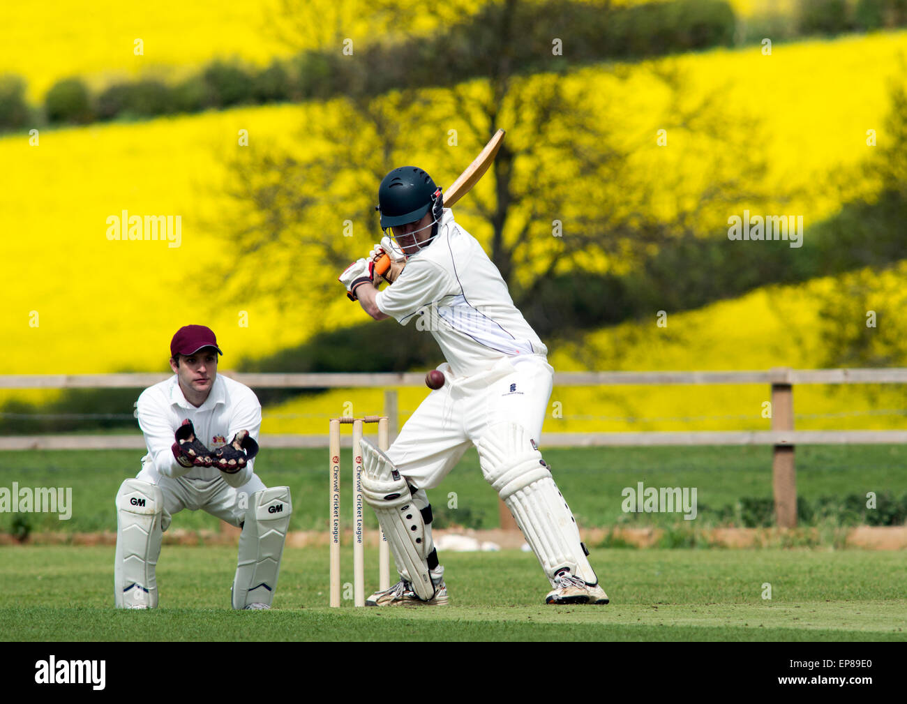 Dorf-Cricket in Horley, Oxfordshire, England, UK Stockfoto