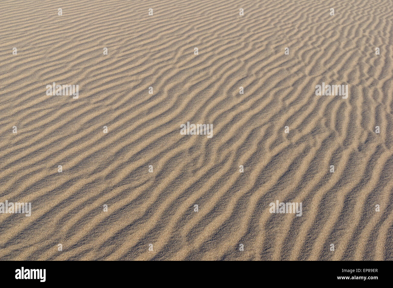 wellige Sandboden auf einer Sanddüne Eureka Valley in Death Valley Nationalpark, Kalifornien Stockfoto