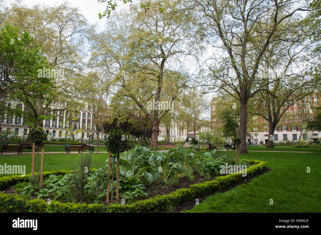 Tavistock Square in Bloomsbury, London Stockfoto