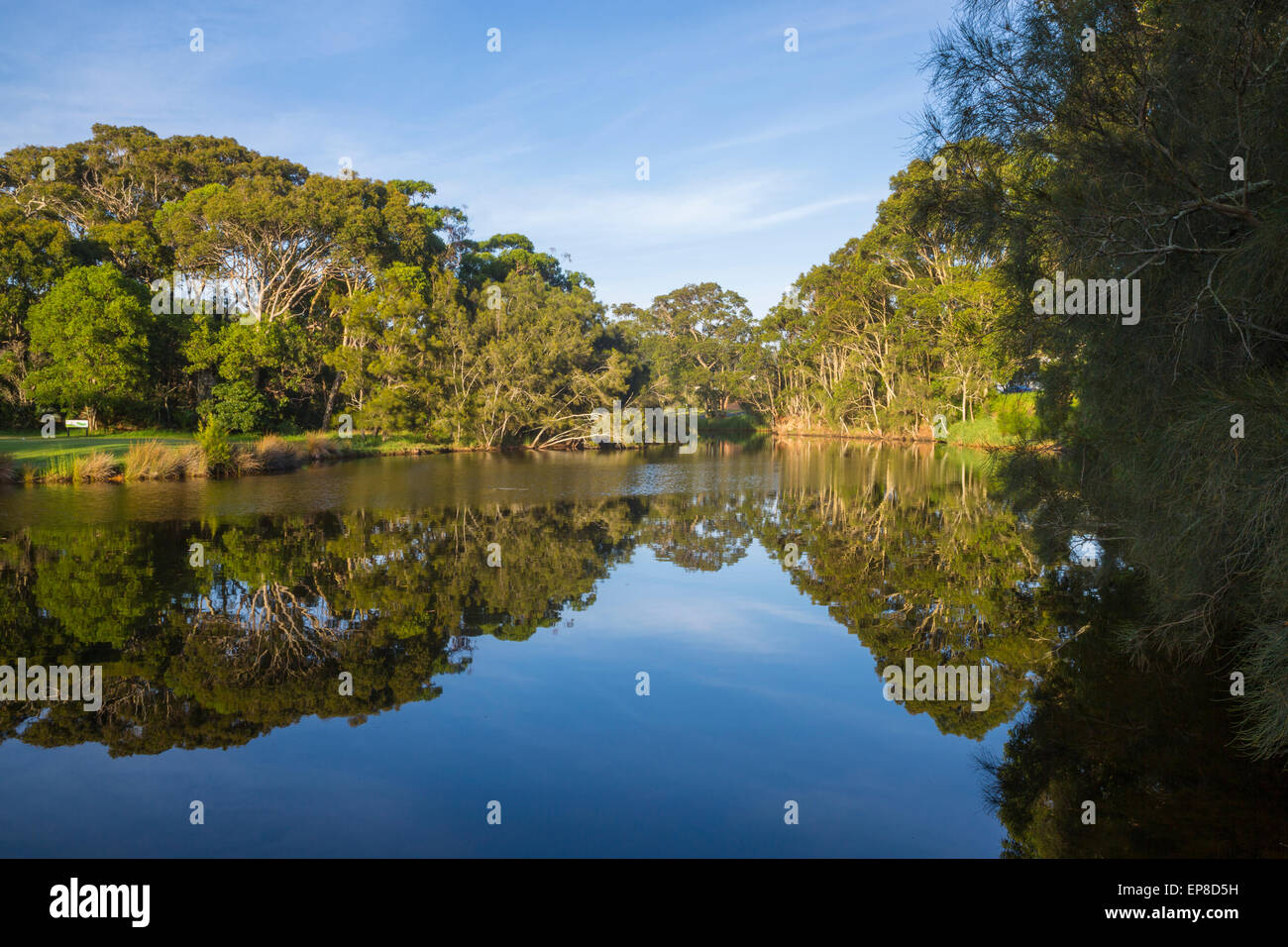See im Wald Stockfoto