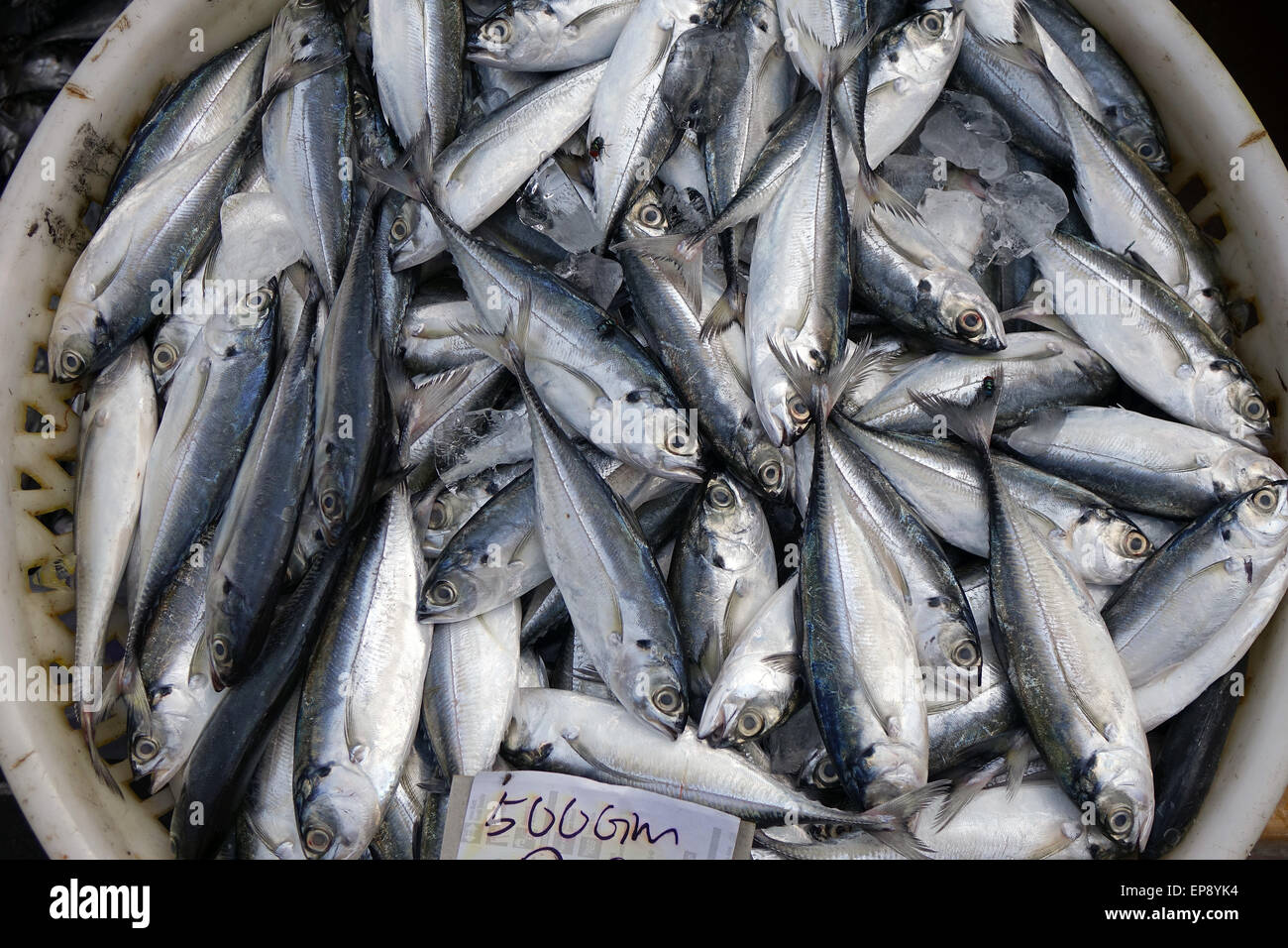 Frischer Fisch am Markt Stockfoto