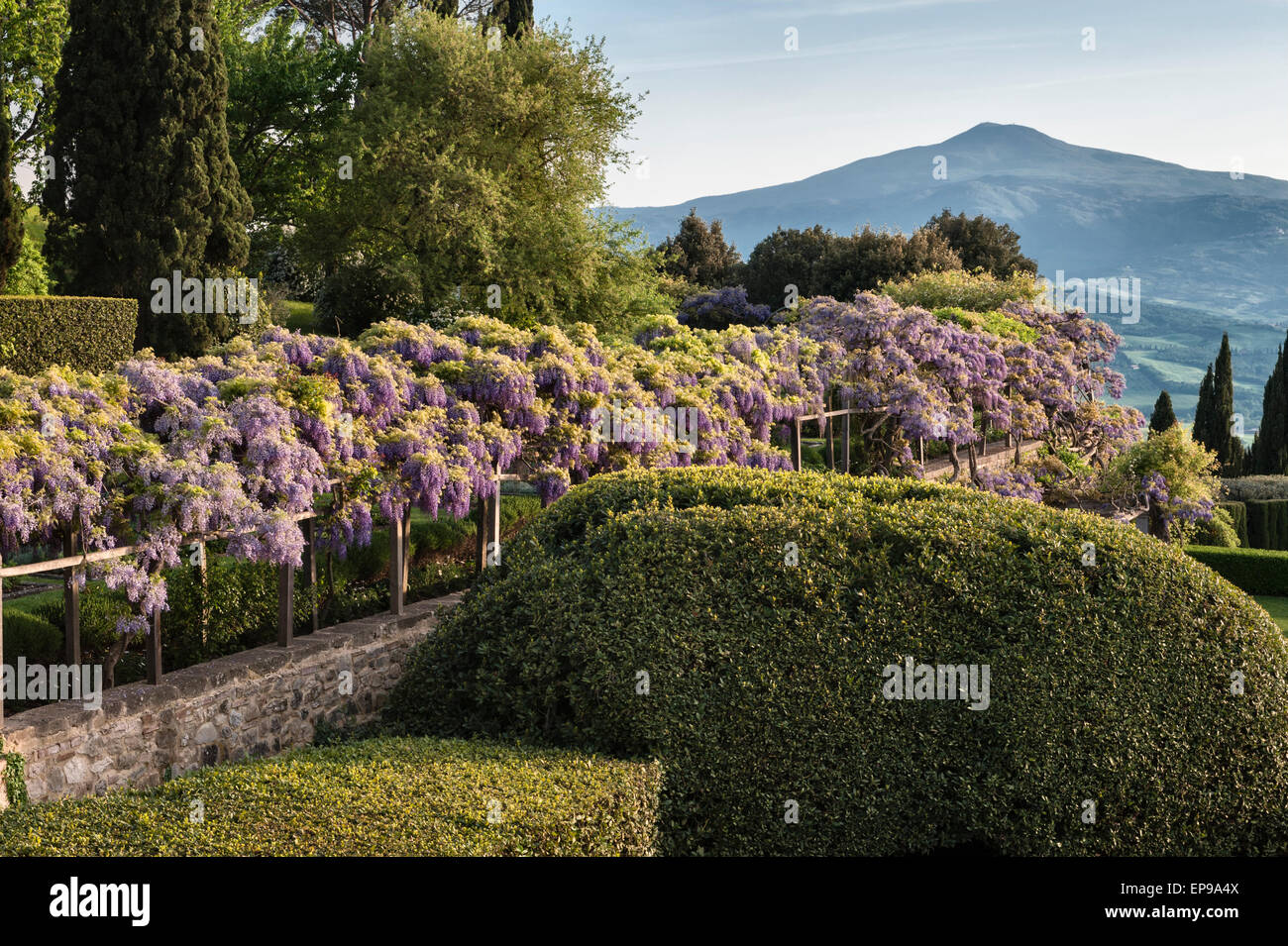 La Foce, Chianciano Terme, Toskana, Italien. Garten in den 1930er Jahren von Cecil Pinsent entworfen. Der Blauregen-Pergola und Monte Amiata Stockfoto