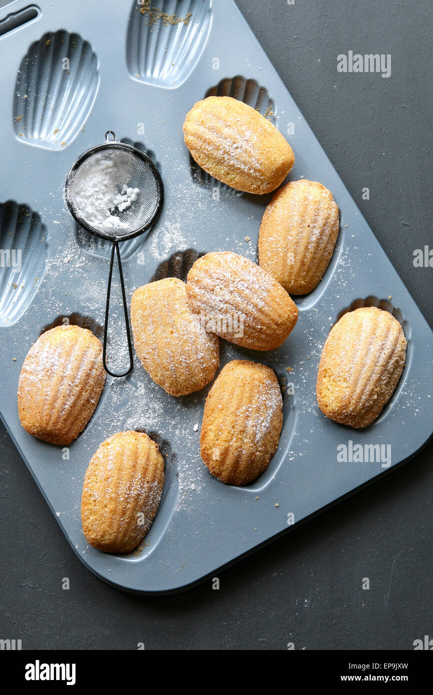 Französische madeleines Stockfoto