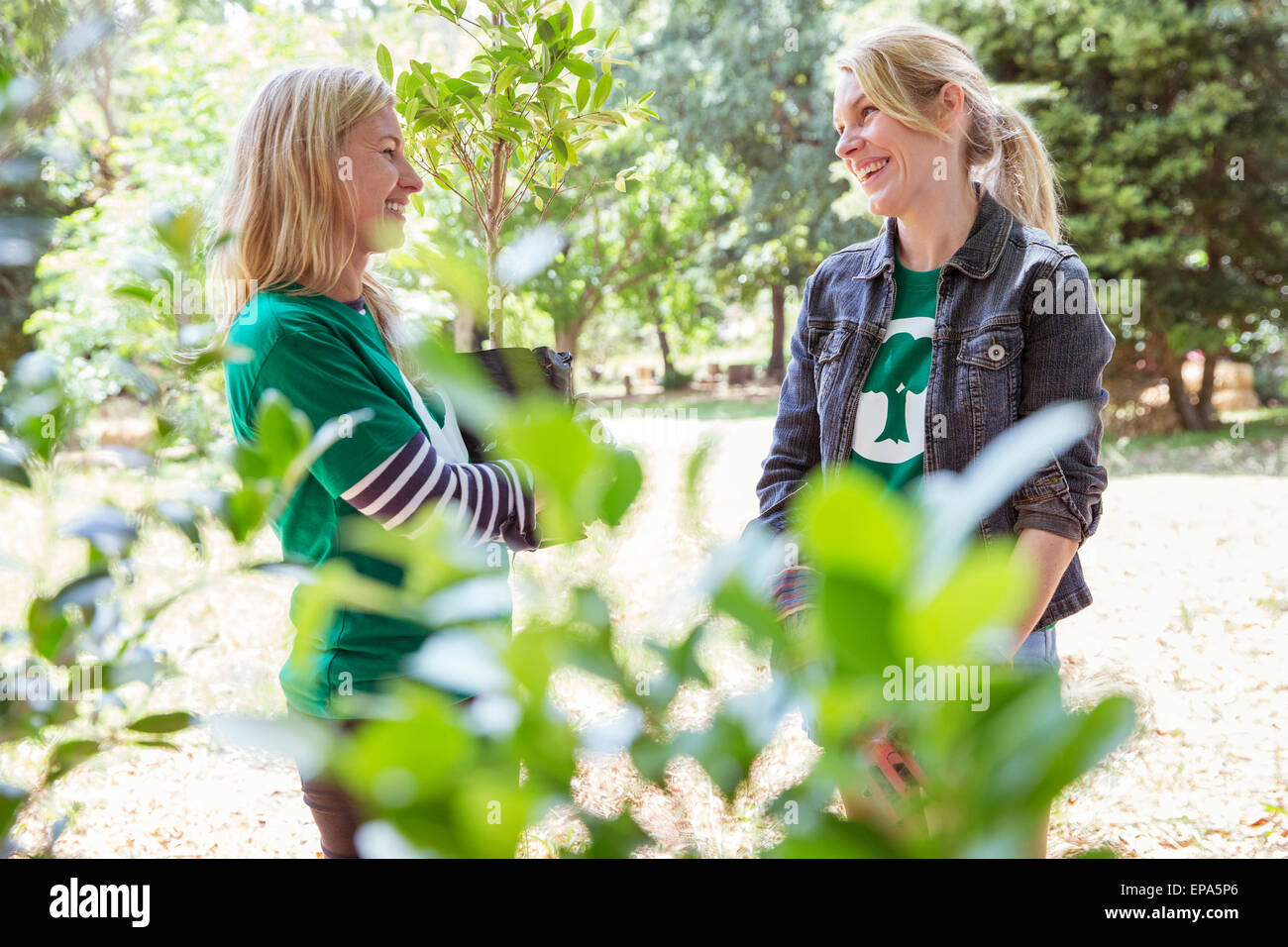 lächelnde Umweltschützer Freiwilligenarbeit im Gespräch Stockfoto