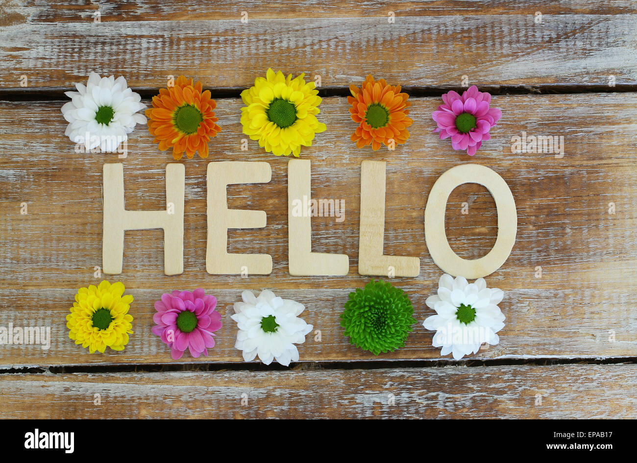 Hallo mit Holzbuchstaben und Santini Blumen geschrieben Stockfoto