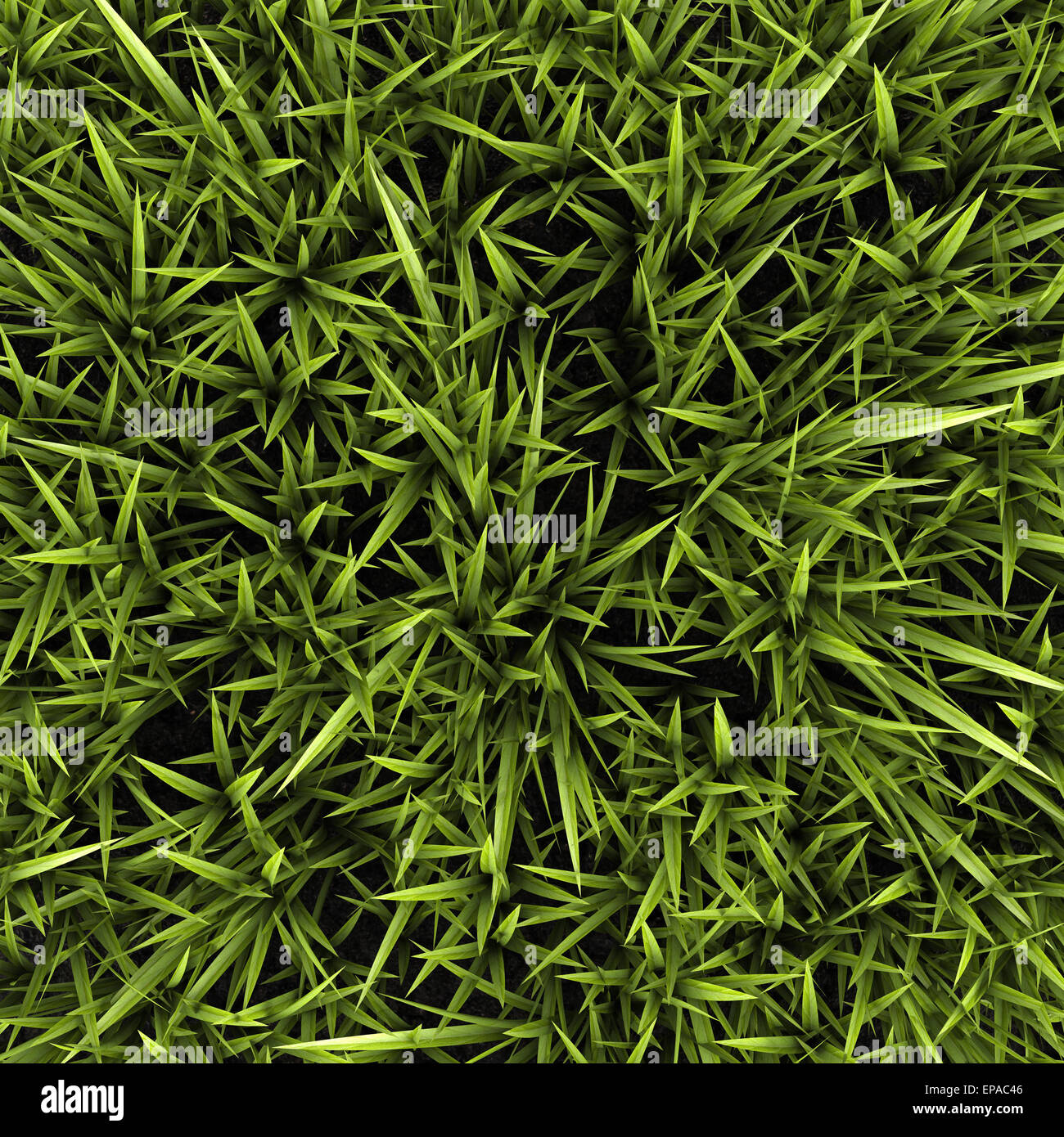 hohe Auflösung grün Hintergrund Stockfoto