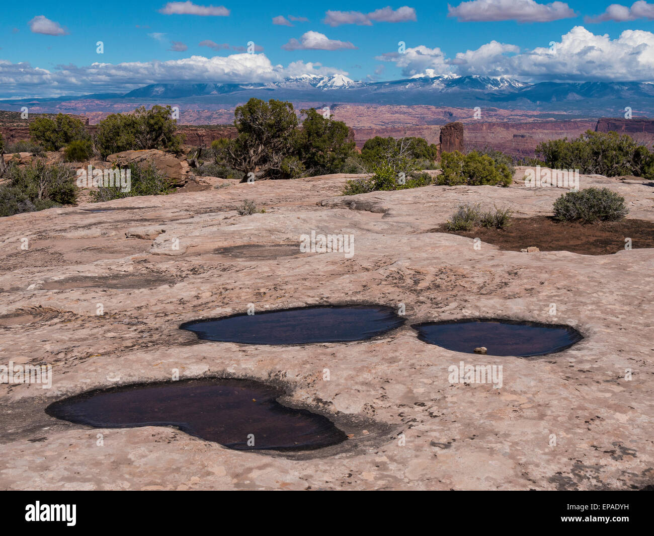 Wassergefüllten Schlaglöcher auf der Felge, Dead Horse Point State Park, Utah. Stockfoto