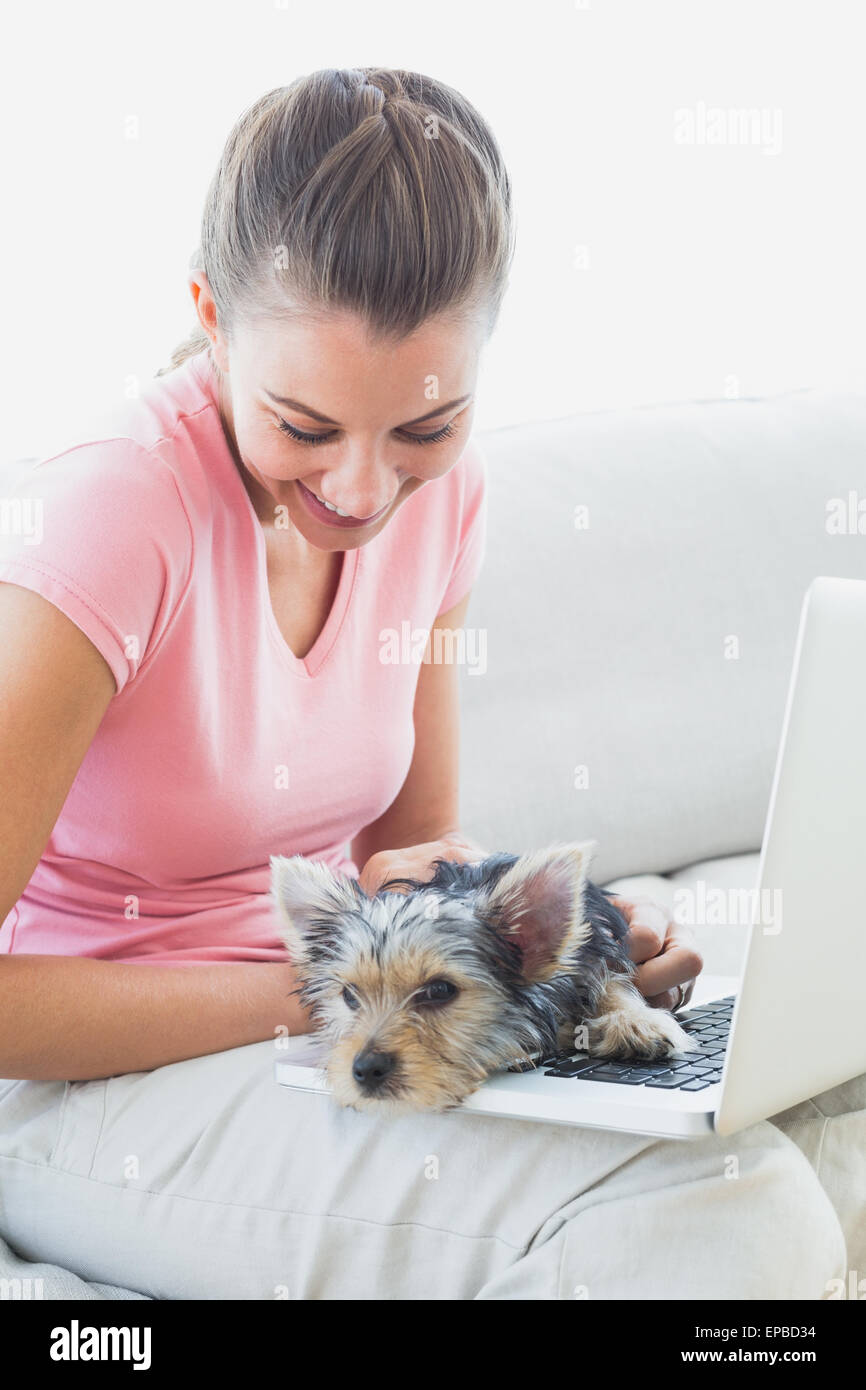 Hübsche Frau mit Laptop mit ihrem Yorkshire-terrier Stockfoto