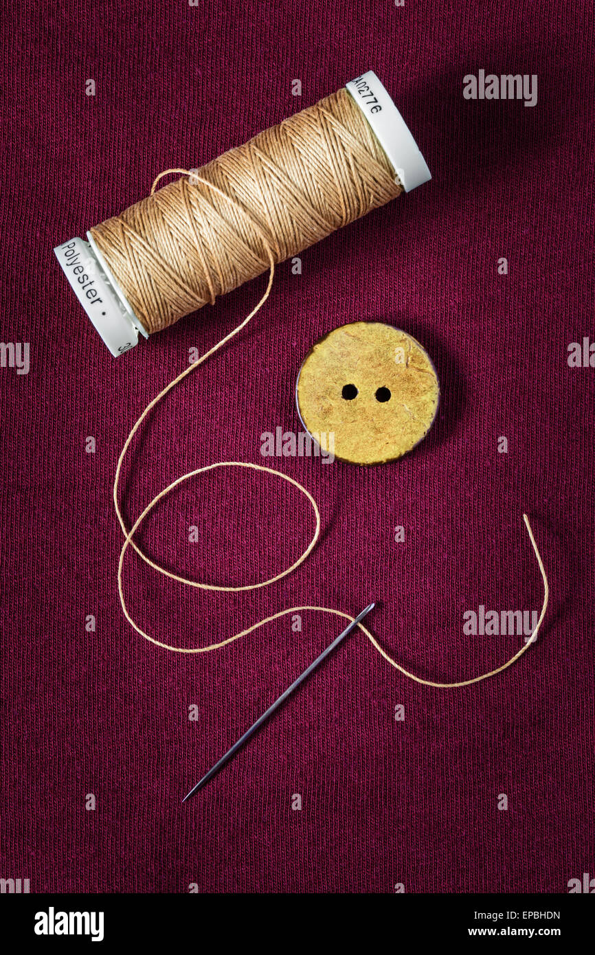 Close up Portrait of Taste, Nadel und Faden Stockfotografie - Alamy