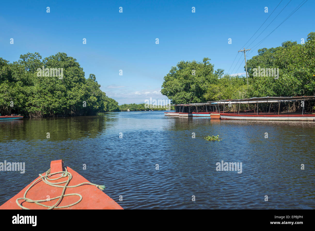 Dock-Bereich in Monterrico Guatemala für Boote und Fähre nach La Avellanav über den Kanal des Chiquimulilla durch den Mangrovenwald Stockfoto
