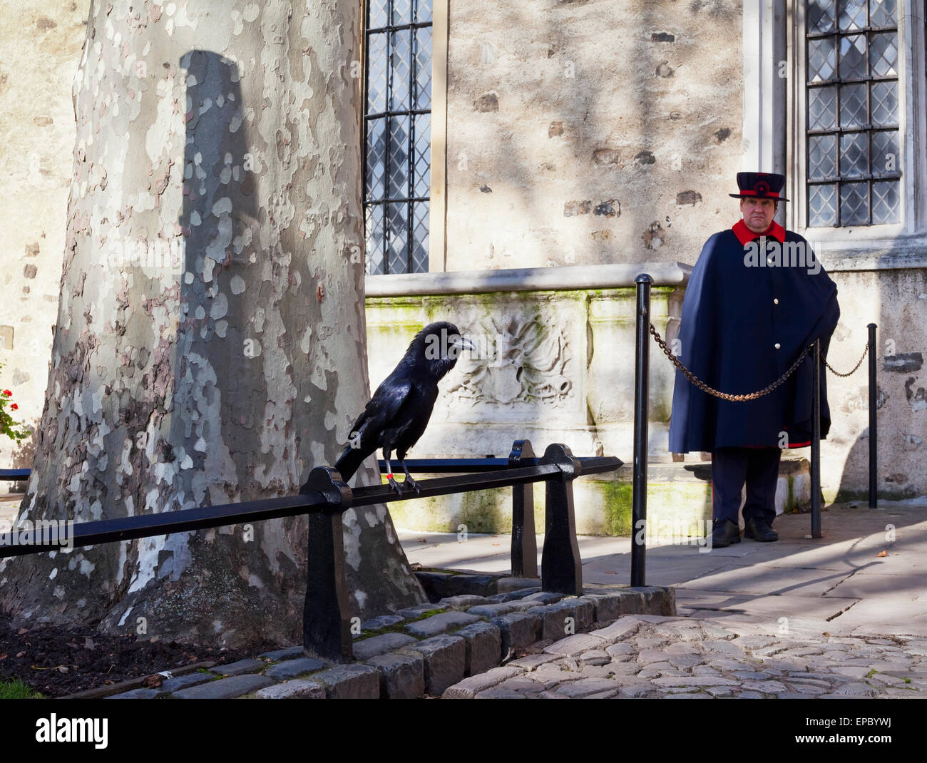 Ein Yeoman Warder und ein Wächter Rabe halten Wache an der Tower of London; London, England Stockfoto