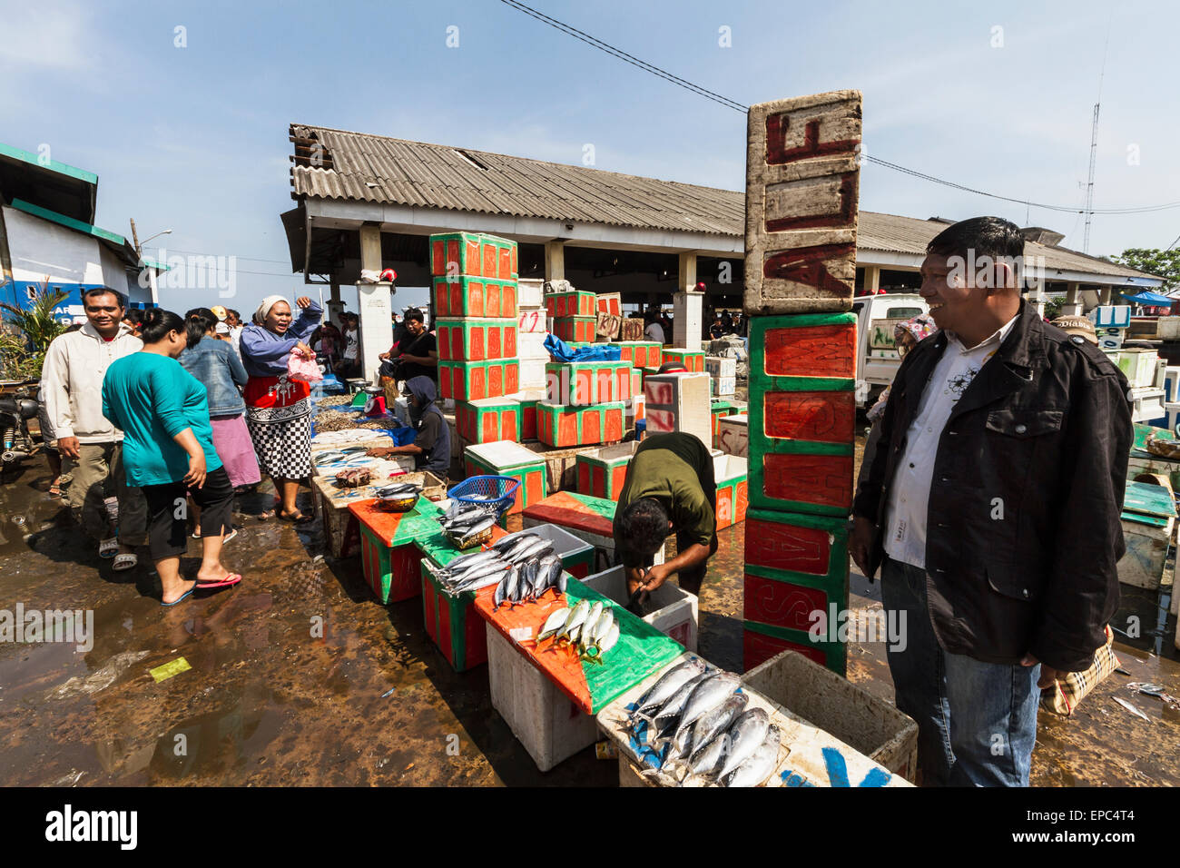 Fischhändler in der Paotere Fischmarkt, Makassar (Ujung Pandang), Süd-Sulawesi, Indonesien Stockfoto
