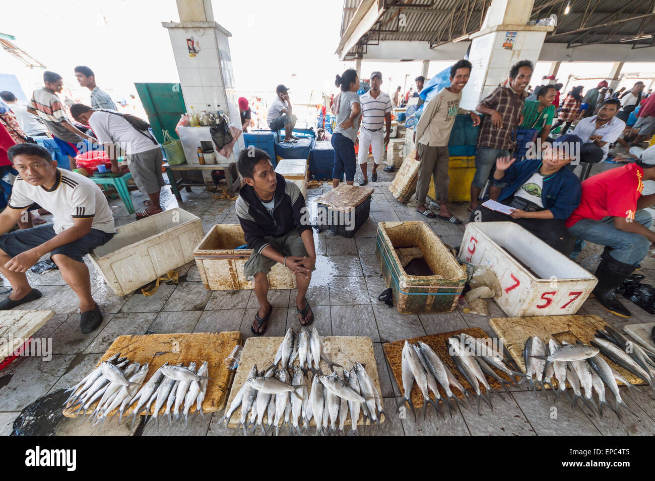 Fischhändler am Paotere Fischmarkt, Makassar (Ujung Pandang), Süd-Sulawesi, Indonesien Stockfoto