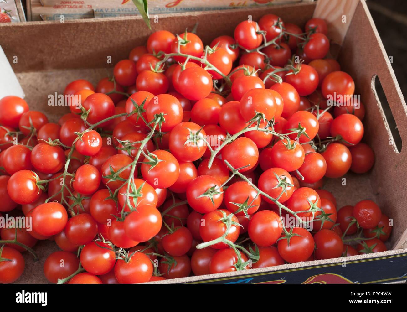 Sizilianische Schachtel mit Trauben Cherry-Tomaten im freien Markt in Sorrent. Stockfoto