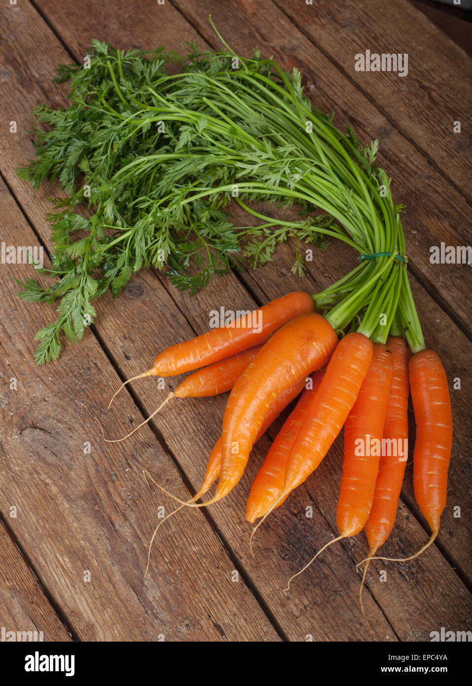 Reihe von frischen Bio-Karotten. auf Grunge Hintergrund aus Holz. Stockfoto