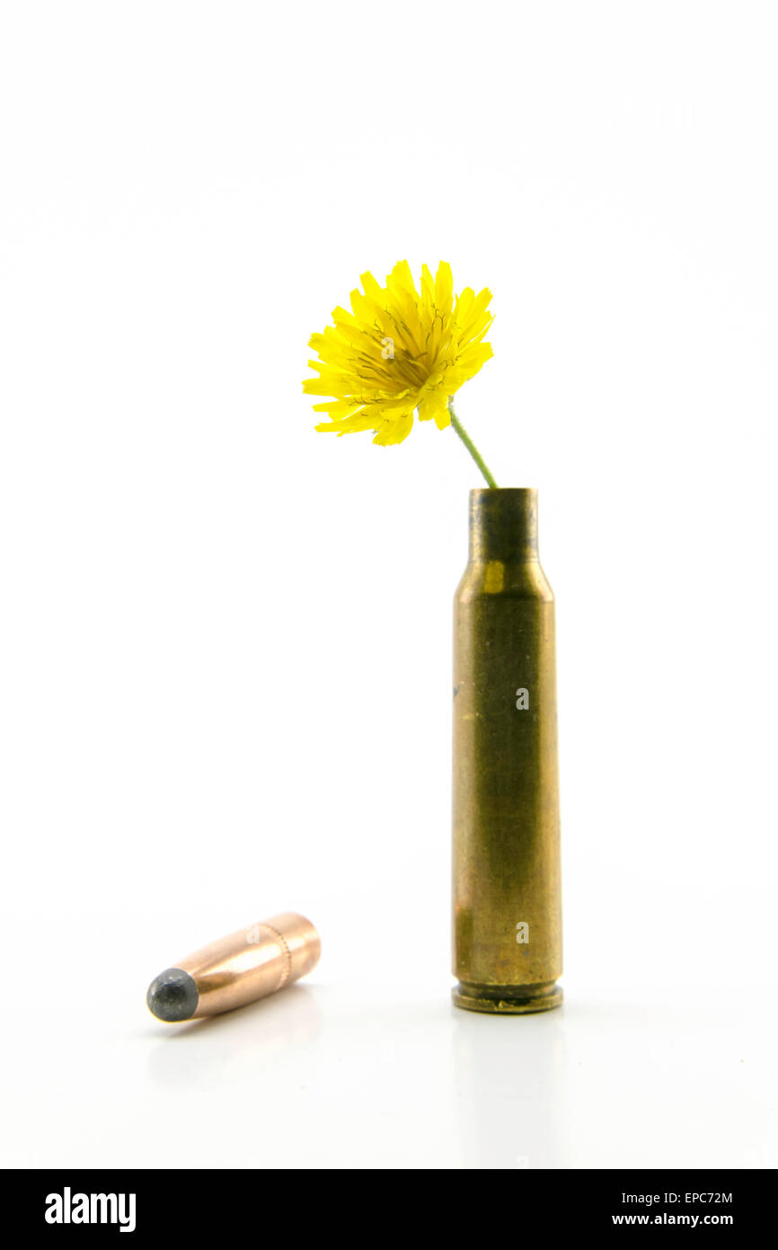 Komposition mit Shotgun Shell und Kugel mit gelben Blümchen auf weißem Hintergrund Stockfoto