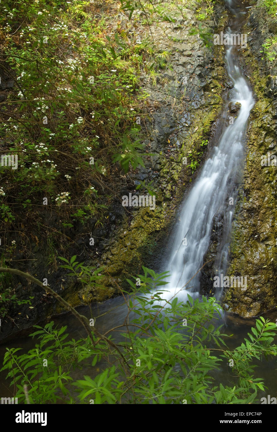 Gran Canaria, im Landesinneren Nortern Teile, Barranco de Azuaje, Naturschutzgebiet Stockfoto