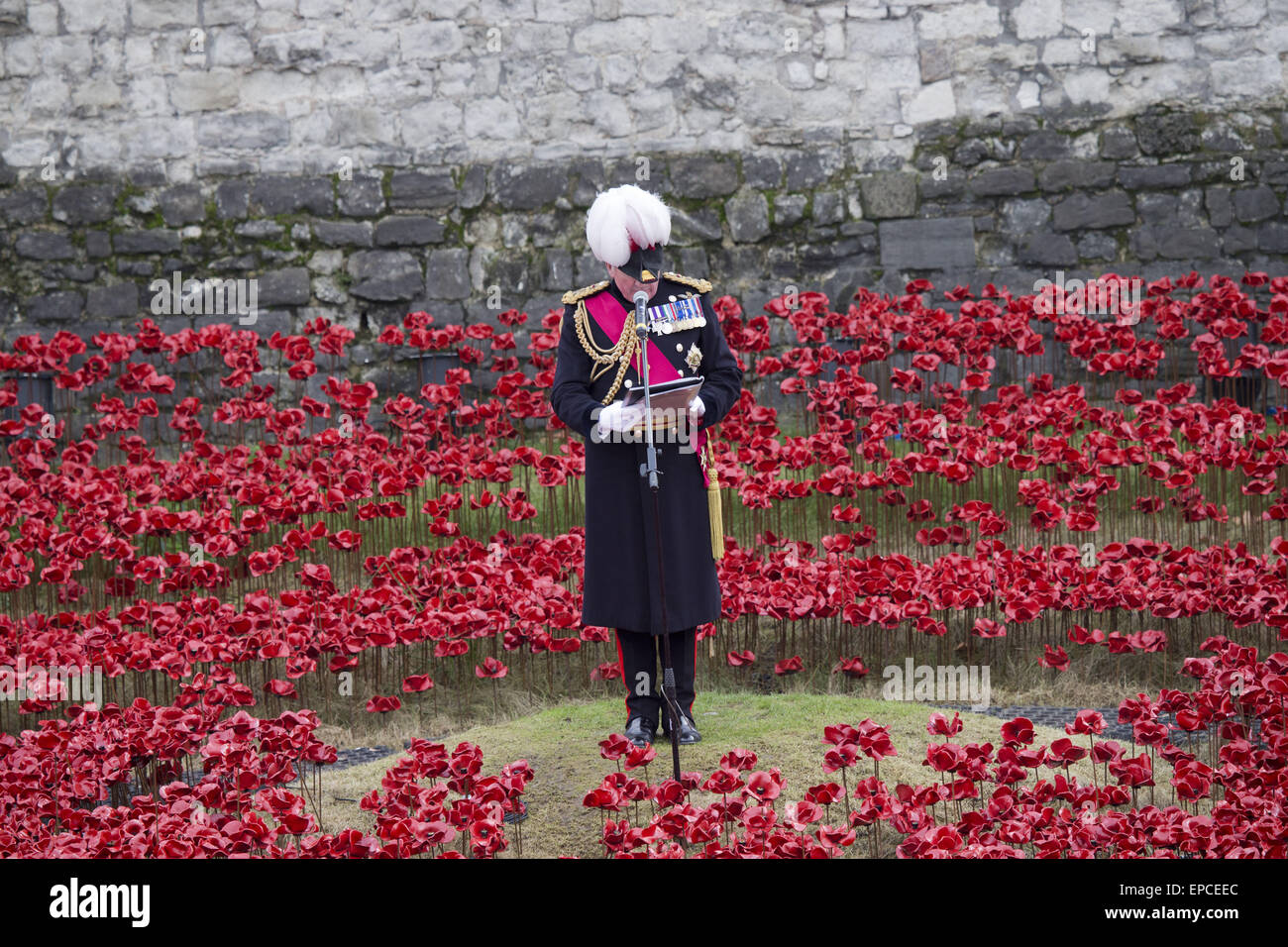 Eine Zeremonie findet statt bei der Installation des Tower of London, "Blut Mehrfrequenzdarstellung Länder und Meere of Red", Tag des Waffenstillstands zu gedenken.  Mitwirkende: Atmosphäre wo: London, Vereinigtes Königreich bei: Kredit-11. November 2014: Seb/WENN.com Stockfoto