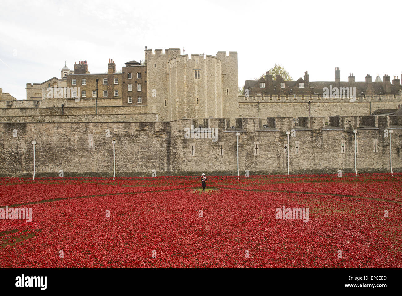 Eine Zeremonie findet statt bei der Installation des Tower of London, "Blut Mehrfrequenzdarstellung Länder und Meere of Red", Tag des Waffenstillstands zu gedenken.  Mitwirkende: Atmosphäre wo: London, Vereinigtes Königreich bei: Kredit-11. November 2014: Seb/WENN.com Stockfoto