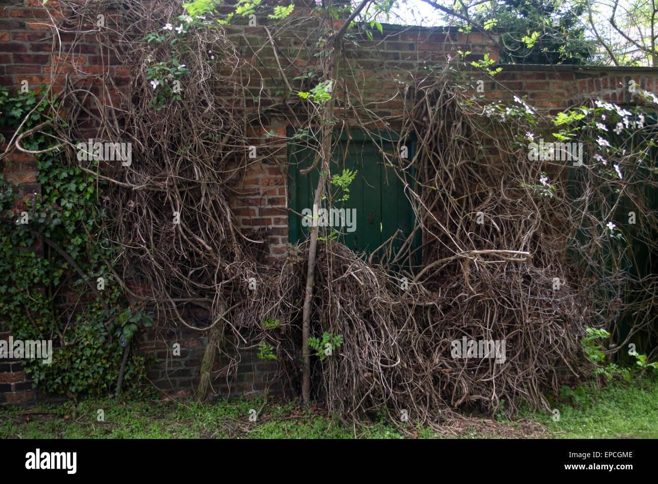 Tür zum garten Fotos und Bildmaterial in hoher Auflösung Alamy